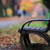 _MG_0750 _MG_0750