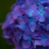 _MG_2841 _MG_2841