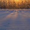 _MG_5687 _MG_5687