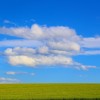 _MG_5375 _MG_5375