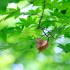 _MG_5941 _MG_5941