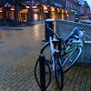 _MG_7673 _MG_7673