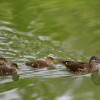 _MG_2404 _MG_2404