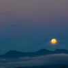 _MG_7901 _MG_7901