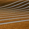 _MG_9637 _MG_9637