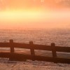 _MG_6823 _MG_6823