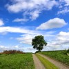 _MG_6738 _MG_6738