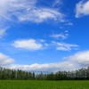 _MG_7769 _MG_7769