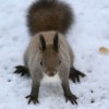 _MG_6282 _MG_6282