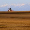 _MG_0186 _MG_0186