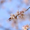 _MG_0543 _MG_0543