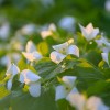 _MG_0173 _MG_0173
