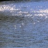 _MG_0516 _MG_0516