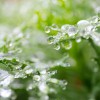 _MG_0663 _MG_0663