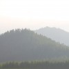 _MG_2178 _MG_2178