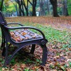 _MG_9598 _MG_9598