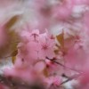 _MG_0057 _MG_0057