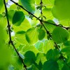 _MG_5622 _MG_5622
