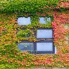 _MG_1619 _MG_1619