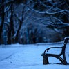 _MG_3105 _MG_3105