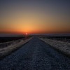 _MG_9228 _MG_9228