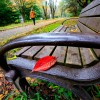 _MG_2805 _MG_2805