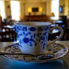 _MG_6014 _MG_6014