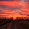 _MG_6103 _MG_6103