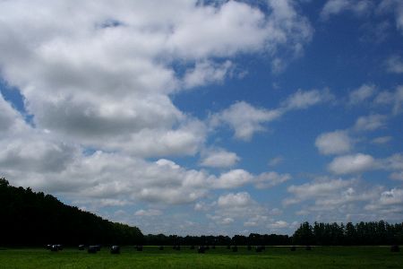 IMG_1319.JPG