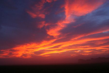 IMG_2300.JPG