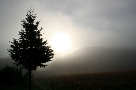 IMG_3496.JPG