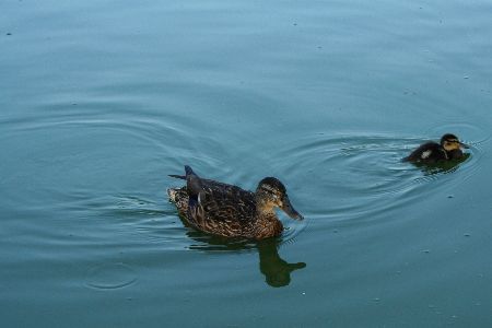 IMG_3858.JPG