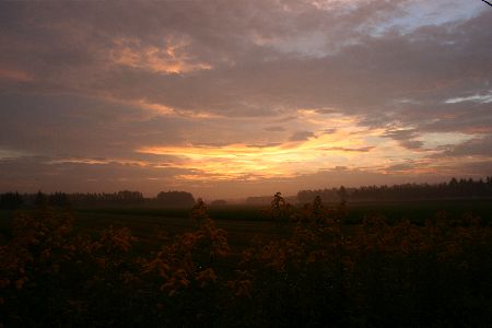 IMG_4536.JPG