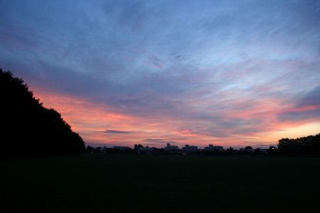 IMG_4612.JPG