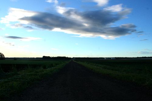 IMG_9906.JPG